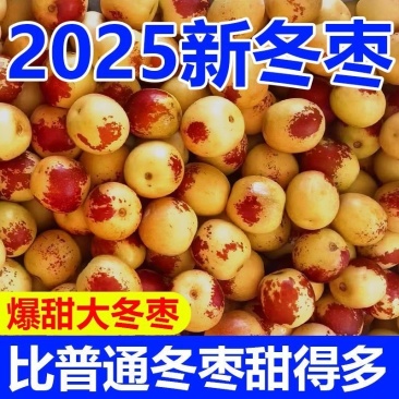 冬枣，对接各大电商平台，支持一件代发，美团，多多仓，商超