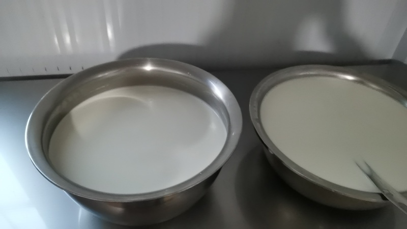 现挤鲜羊奶0添加滴滴鲜纯