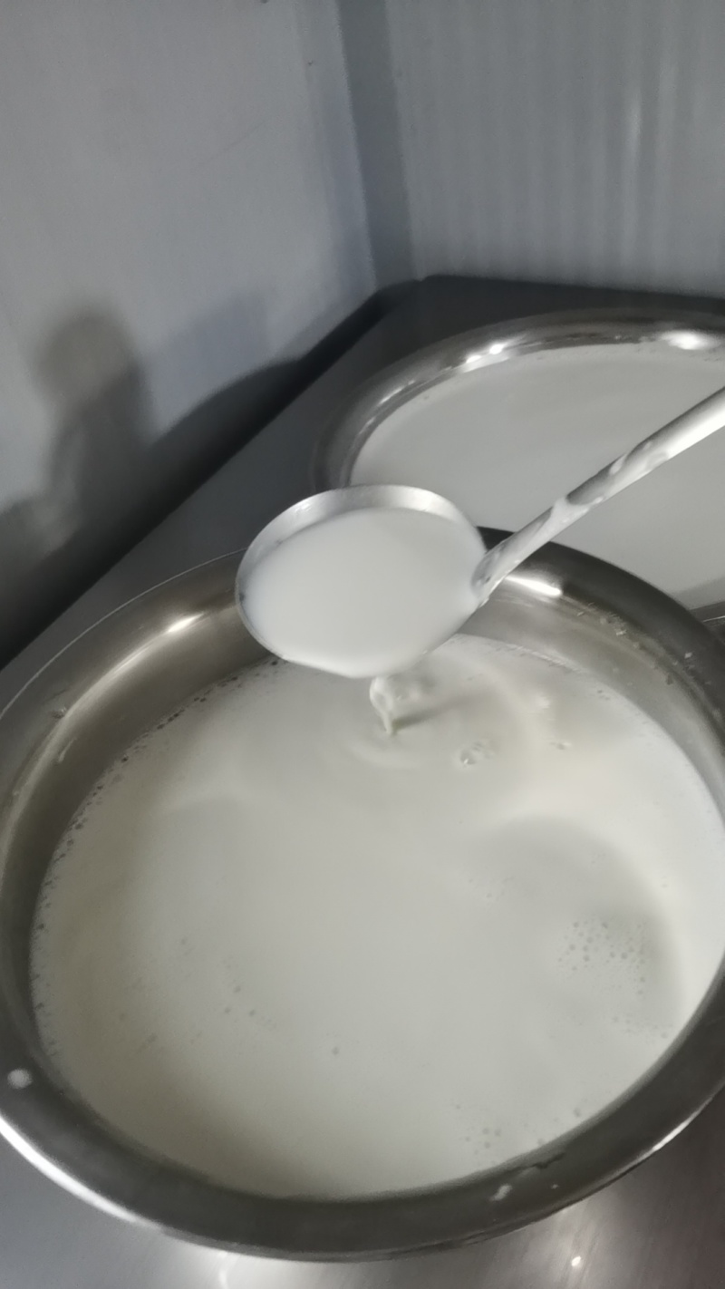 现挤鲜羊奶0添加滴滴鲜纯