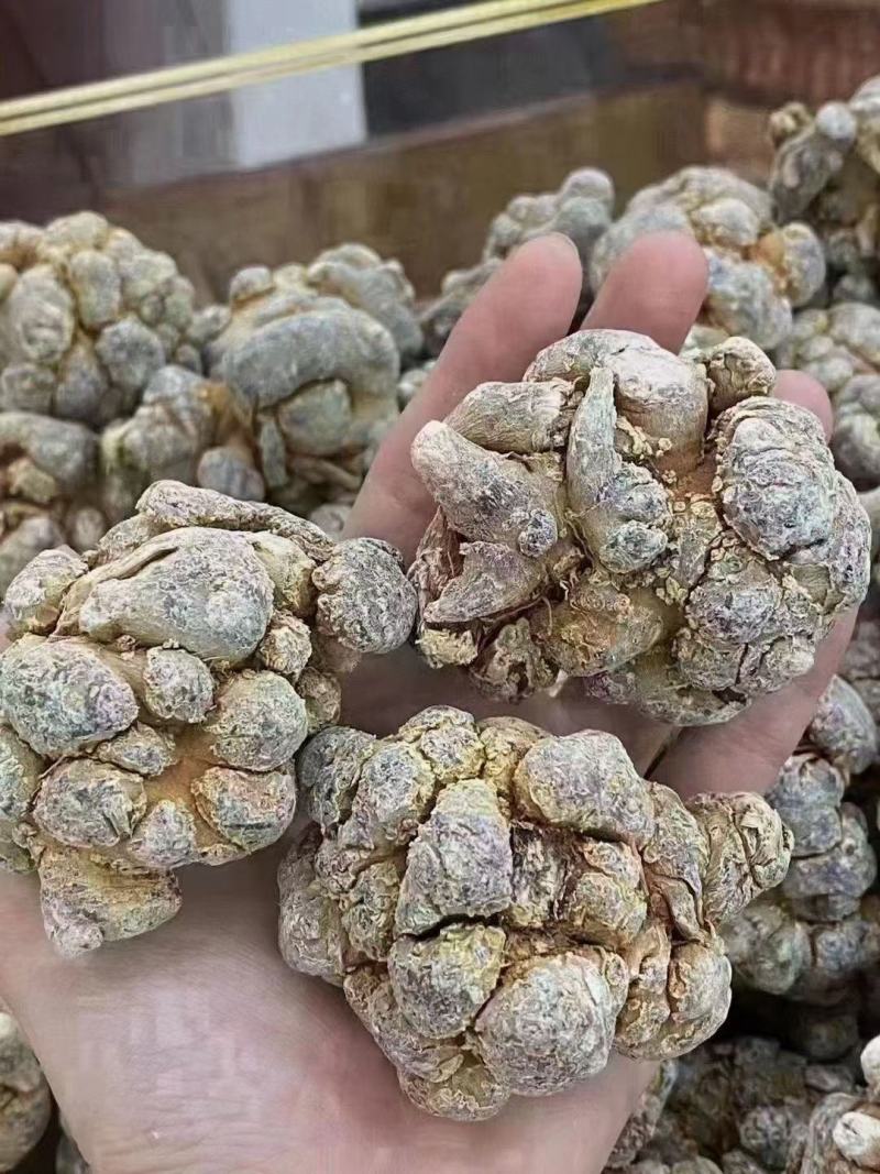 正宗三七24小时在线服务长期有货品种丰富