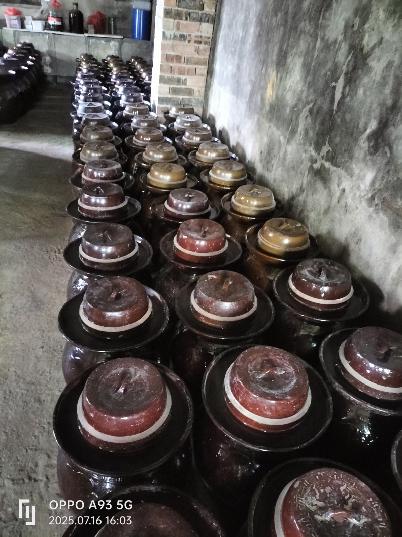 湖南省永州腌豆角