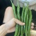 3号线椒