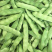 吉林油豆角大量上市量大从优保质保量可视频看货