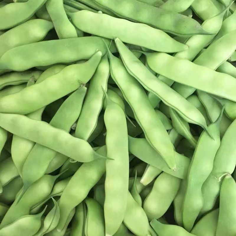 吉林油豆角大量上市量大从优保质保量可视频看货