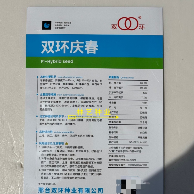 双环庆牛心春甘蓝种子优质早熟高产抗病商品性佳