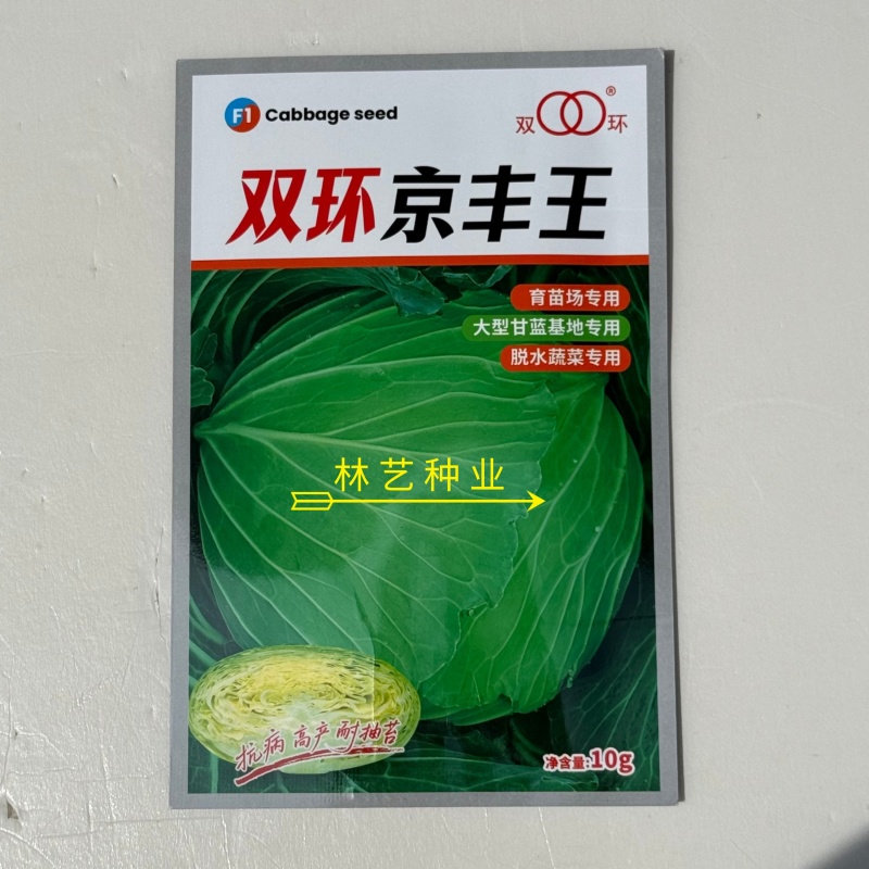 双环京丰王5-6斤甘蓝种子高产抗病耐热耐寒农家菜园种植
