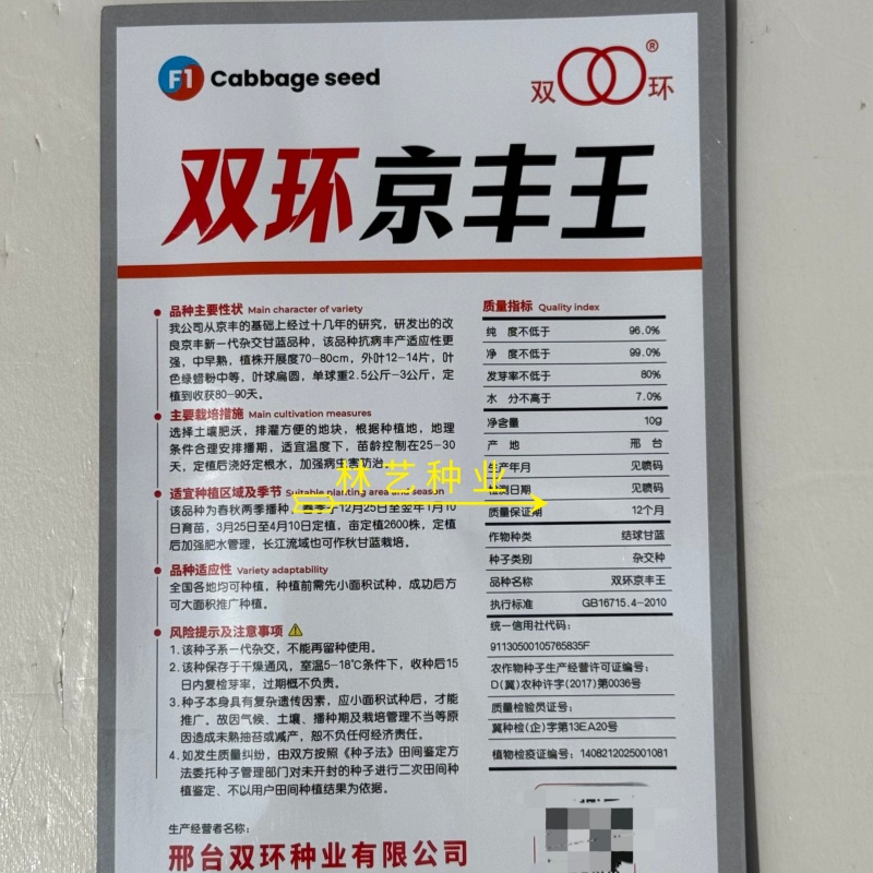 双环京丰王5-6斤甘蓝种子高产抗病耐热耐寒农家菜园种植
