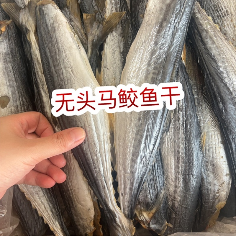 无头马鲛鱼干地摊电商批发马胶鱼干干鱼海产品干货批发