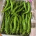 榆林麻花辣椒大量上市全螺精品