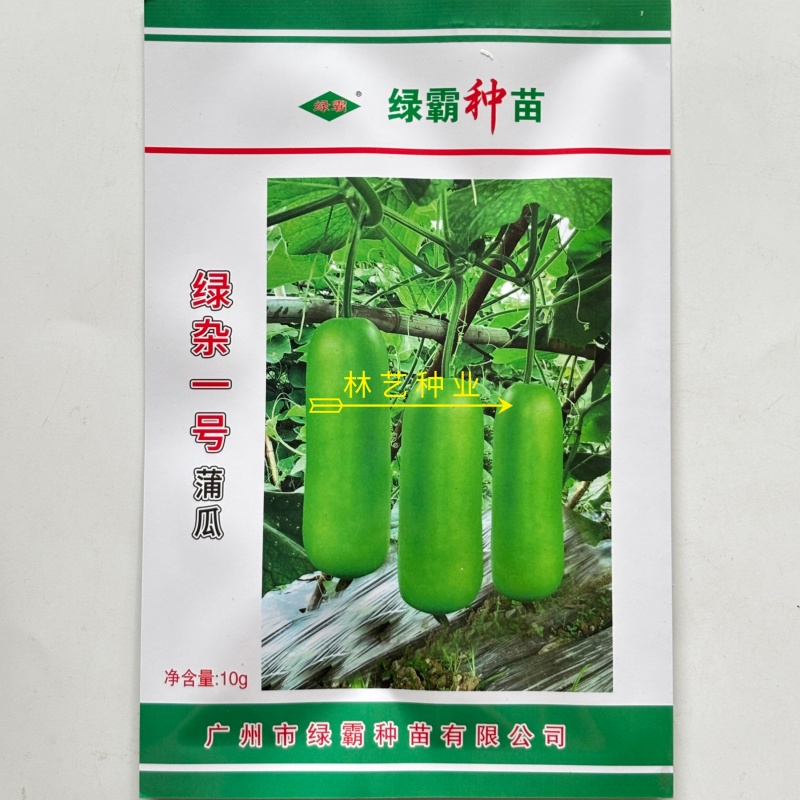 绿杂一号蒲瓜种子早熟皮色翠绿雌性强春秋种植瓠瓜种