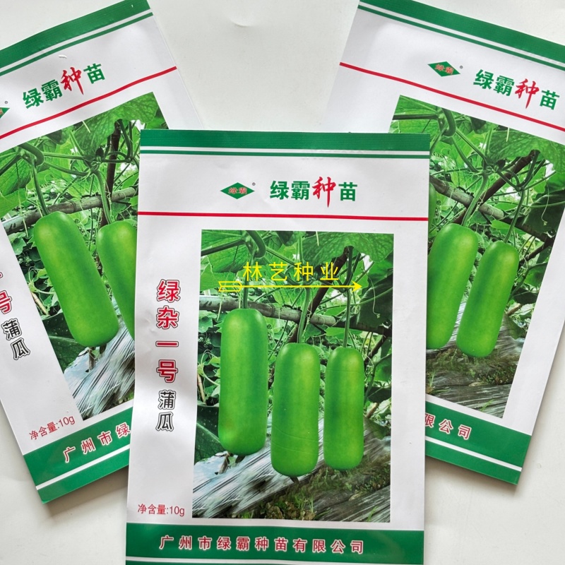 绿杂一号蒲瓜种子早熟皮色翠绿雌性强春秋种植瓠瓜种