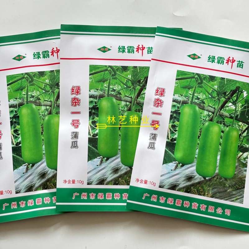 绿杂一号蒲瓜种子早熟皮色翠绿雌性强春秋种植瓠瓜种