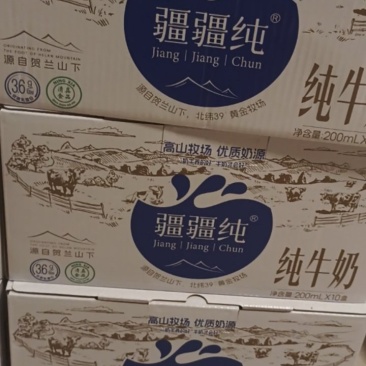 疆疆纯牛奶