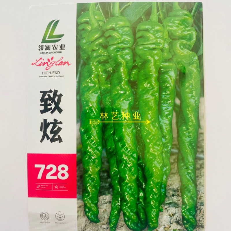 致炫728螺丝椒种子中早熟高产螺丝椒顺直螺旋度好果实亮绿