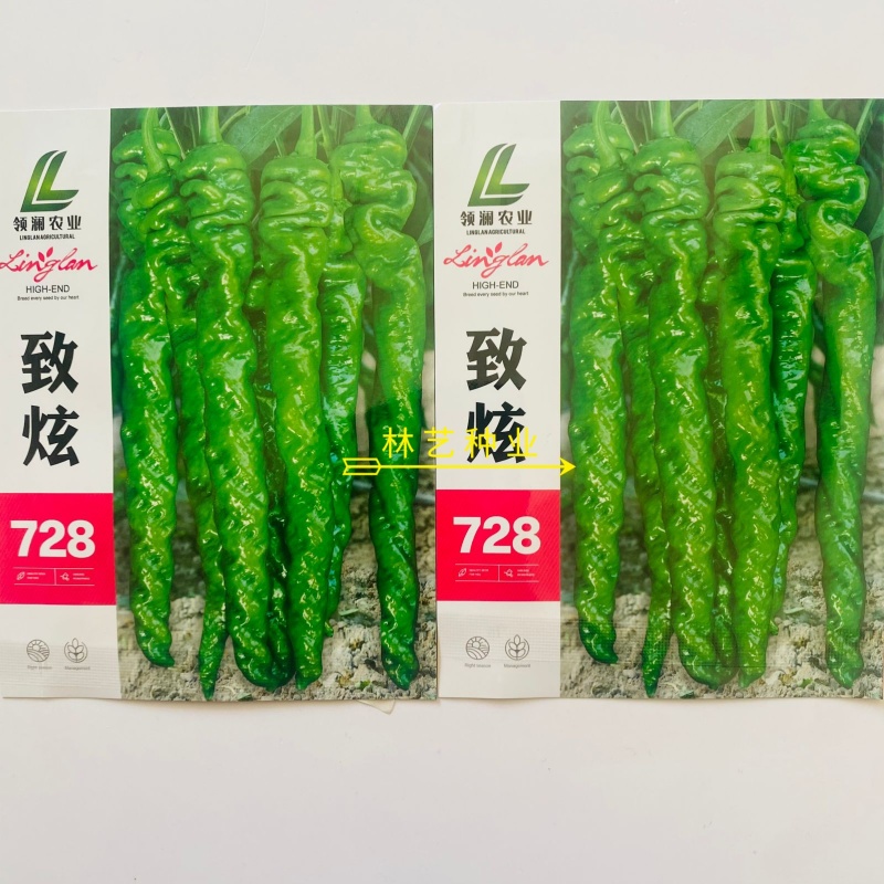 致炫728螺丝椒种子中早熟高产螺丝椒顺直螺旋度好果实亮绿