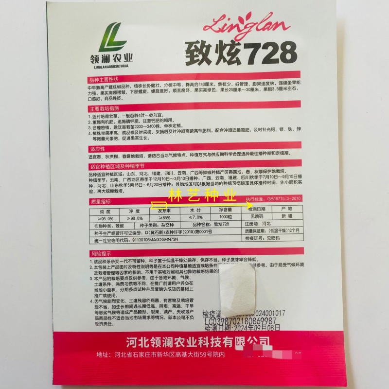 致炫728螺丝椒种子中早熟高产螺丝椒顺直螺旋度好果实亮绿