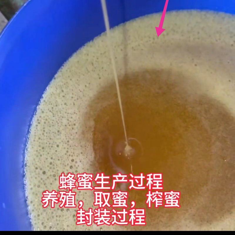 农家自养自销土蜂蜜，百花蜜，荆条蜜，荔枝龙眼蜜，蜂蜜巢