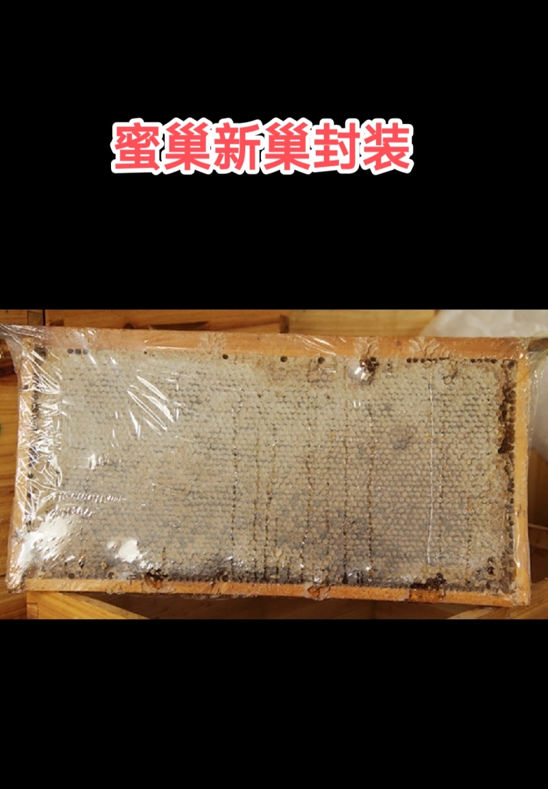 农家自养自销土蜂蜜，百花蜜，荆条蜜，荔枝龙眼蜜，蜂蜜巢