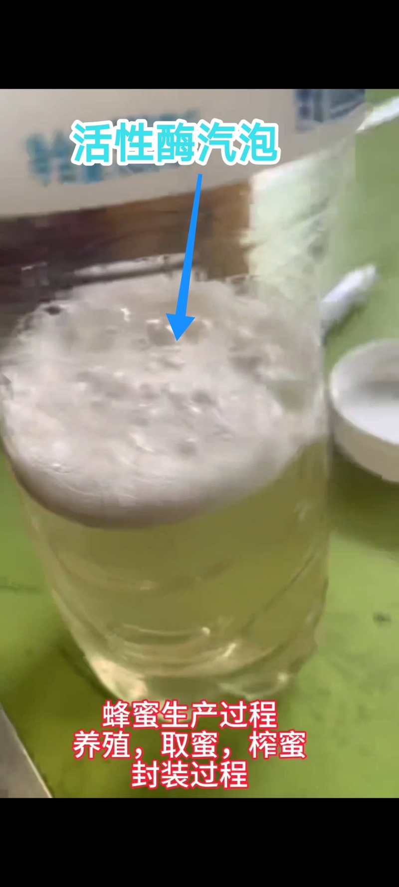 农家自养自销土蜂蜜，百花蜜，荆条蜜，荔枝龙眼蜜，蜂蜜巢