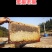 农家自养自销土蜂蜜,百花蜜,荆条蜜,荔枝龙眼蜜,蜂蜜巢