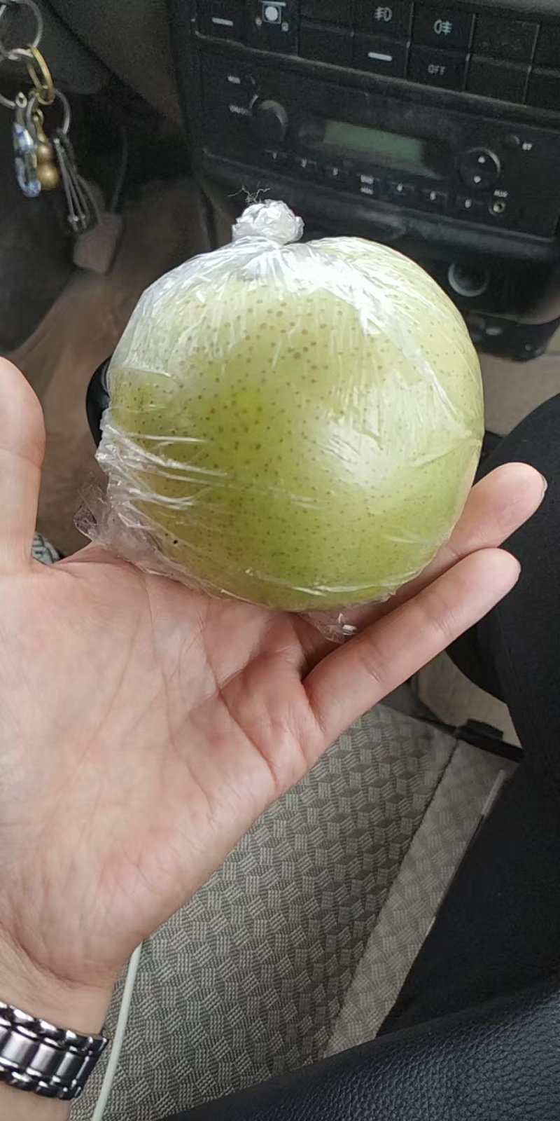 泊头皇冠梨