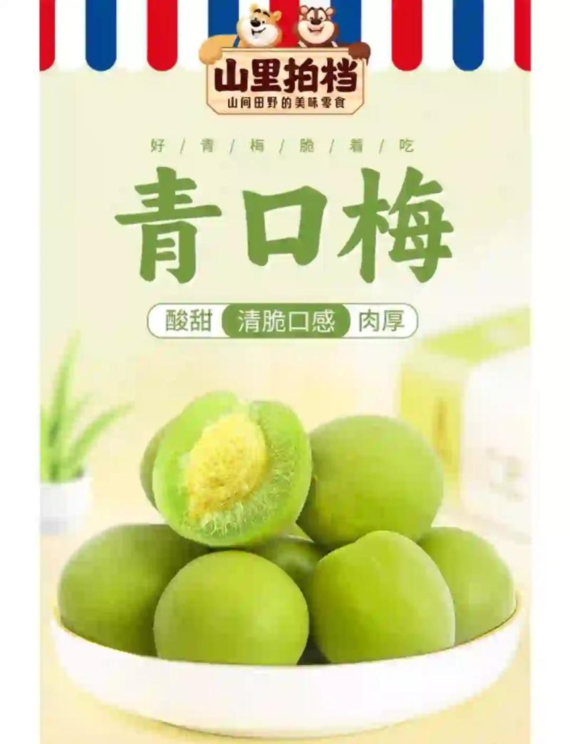 脆青梅青口梅酸甜爽口独立包装蜜饯果脯零食解馋休闲