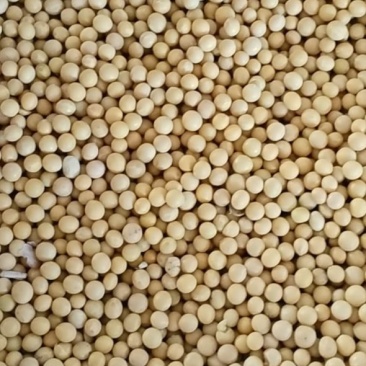 大豆蛋白39，300吨起售