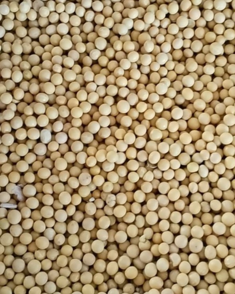 大豆蛋白39，300吨起售