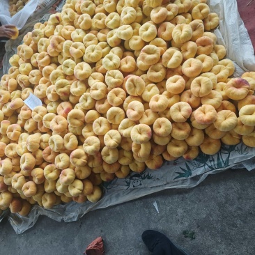 原产地【山东蒙阴】毛蟠桃11大量上市市场货电商货社区团购