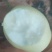 套代黄冠梨大量供应，个大口感脆甜，