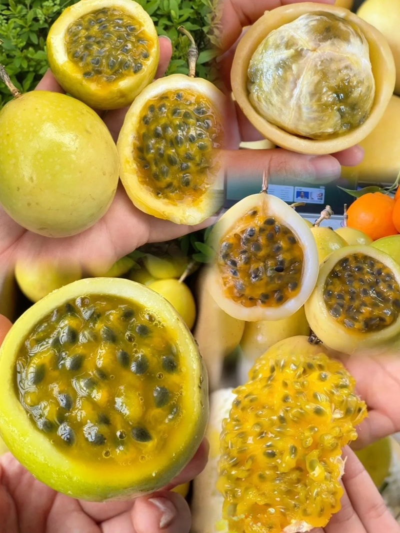 精品特大果（产地一手货源）一件起批，质量保证，大量现货