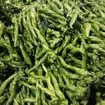 螺丝椒
