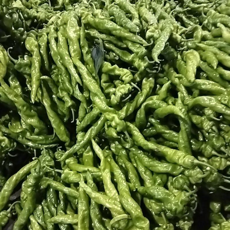 螺丝椒