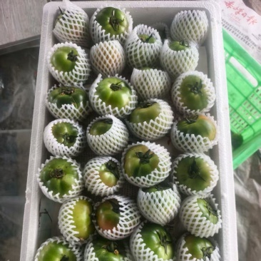 草莓西红柿，口感柿子
