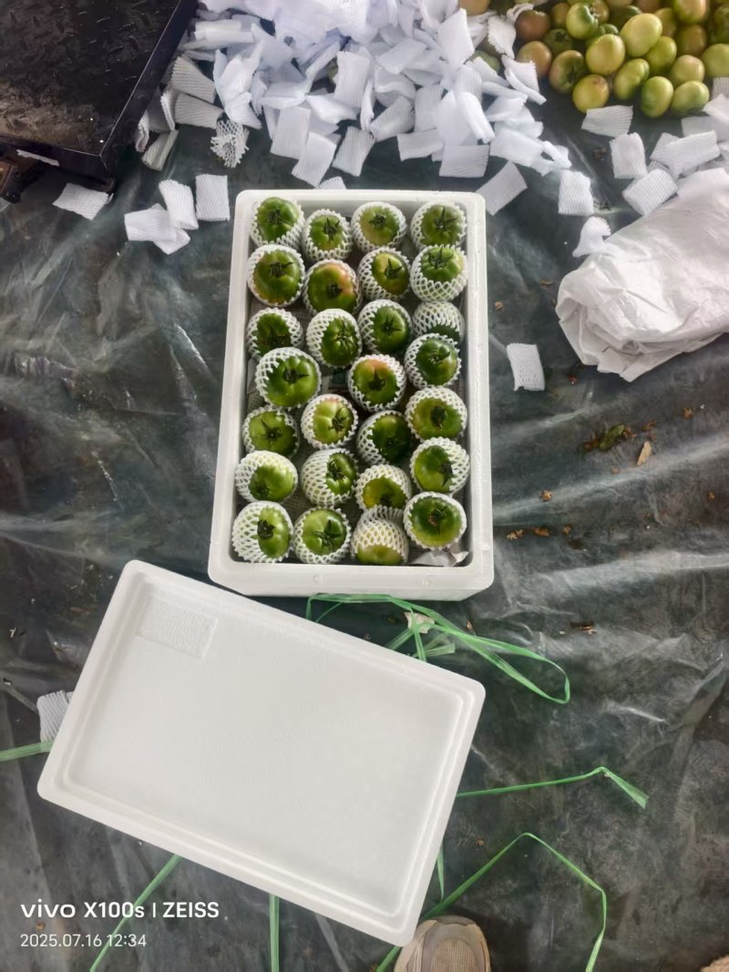 草莓西红柿，口感柿子