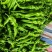 龙椒大量