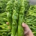 龙椒大量