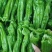 龙椒大量