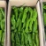 龙椒大量
