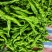 龙椒大量