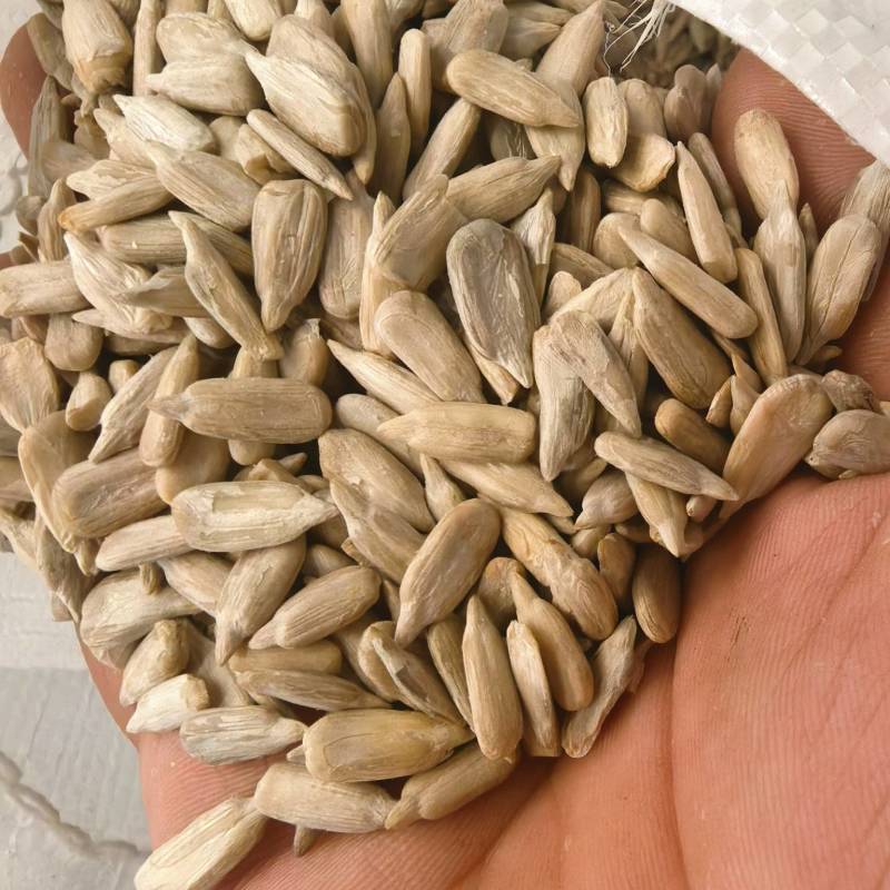 优质花葵精仁