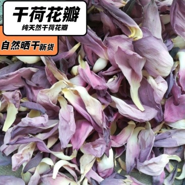 荷花茶油刮脂去干荷花食用荷花叶片干花茶叶花草茶荷花花瓣中药材