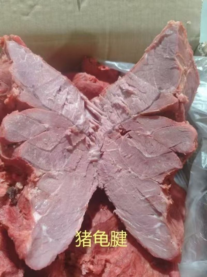 【猪头肉】酱猪龟