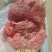 【猪头肉】酱猪龟