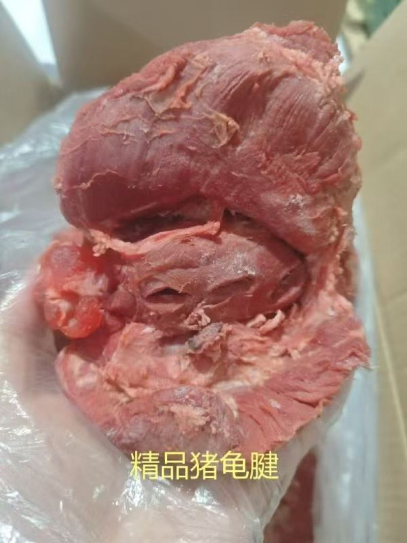 【猪头肉】酱猪龟