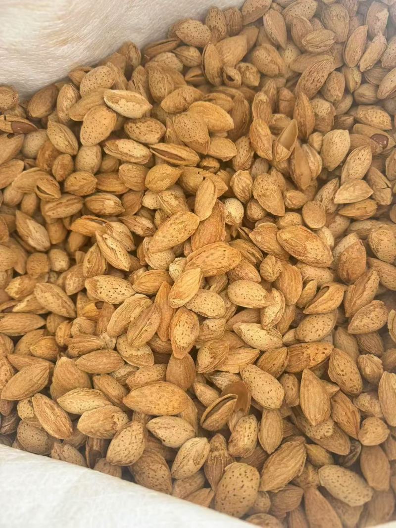 巴旦木坚果坚果干果源头工厂源头工厂直销