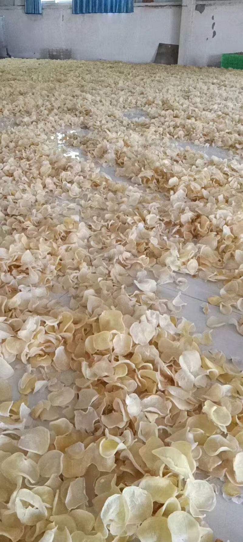 精品晒干土豆片，精品烘干干土豆块，厂家直销含检测报告
