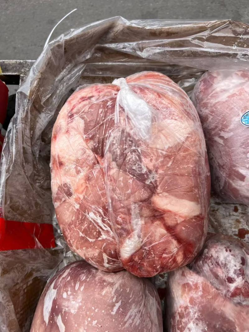 龙大四号肉