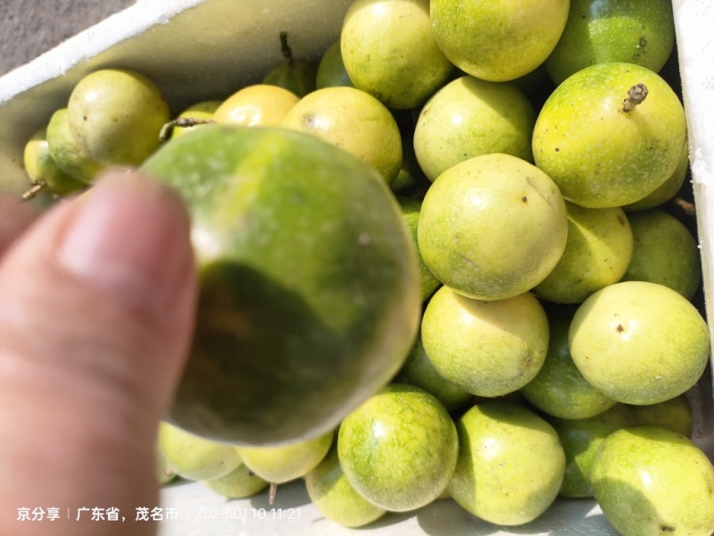 广东精品黄金百香果百香果热带水果大量供应