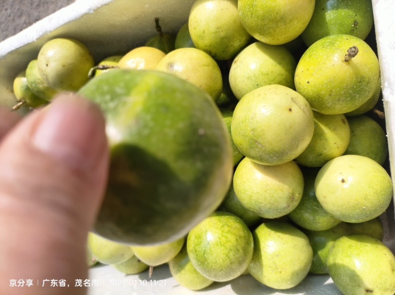 广东精品黄金百香果百香果热带水果大量供应